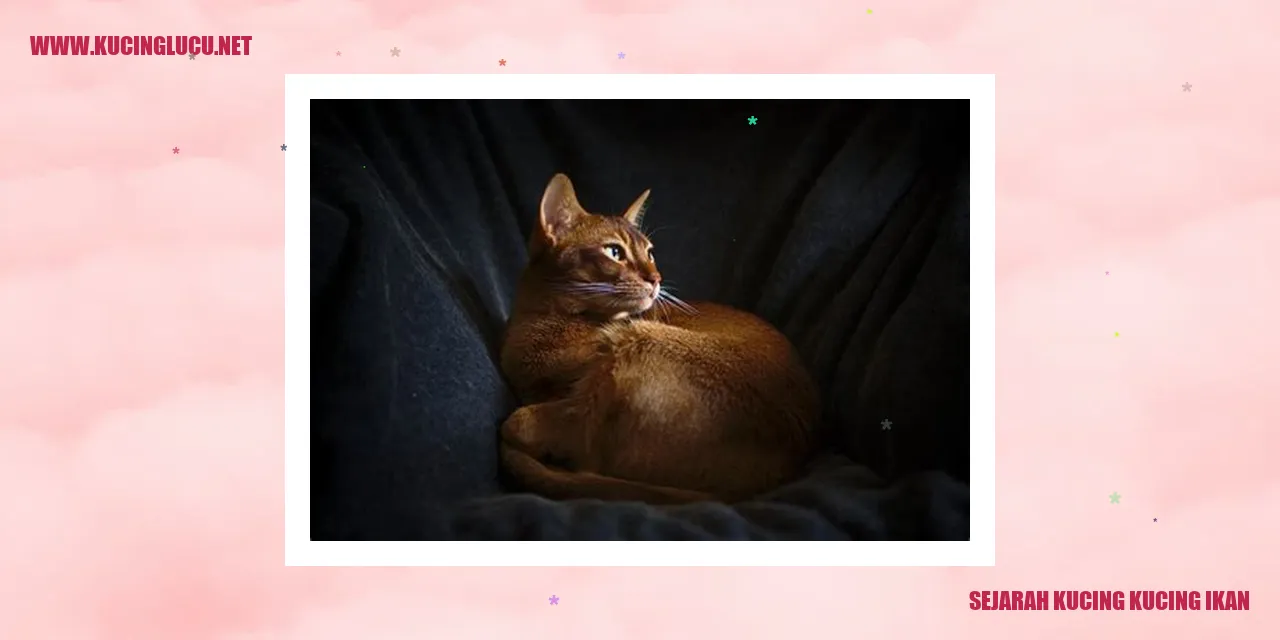Ilustrasi Kucing Kucing Ikan