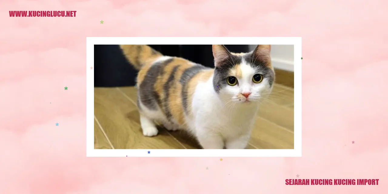 Sejarah Kucing-kucing Import