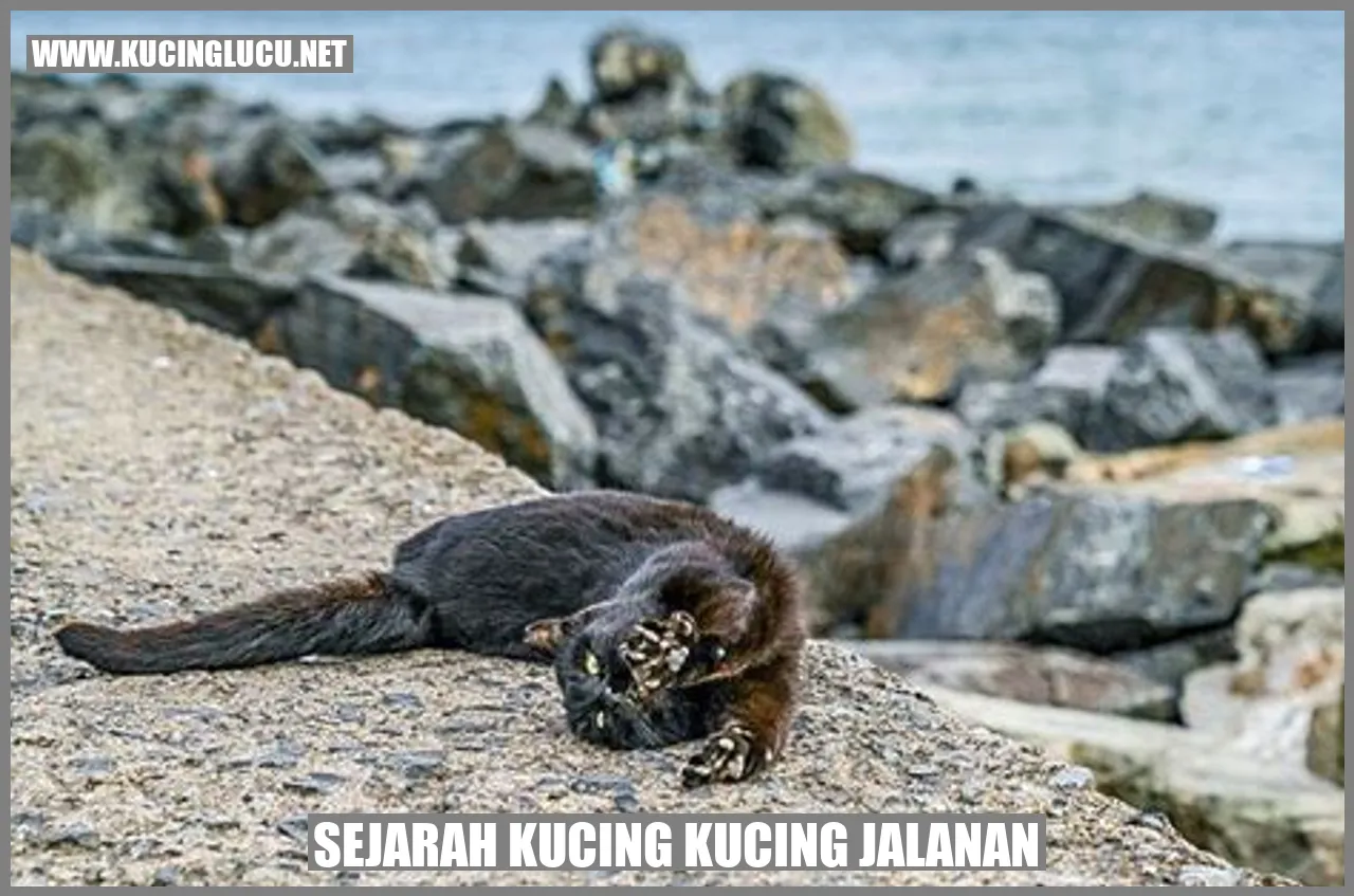 Sejarah Kucing Liar