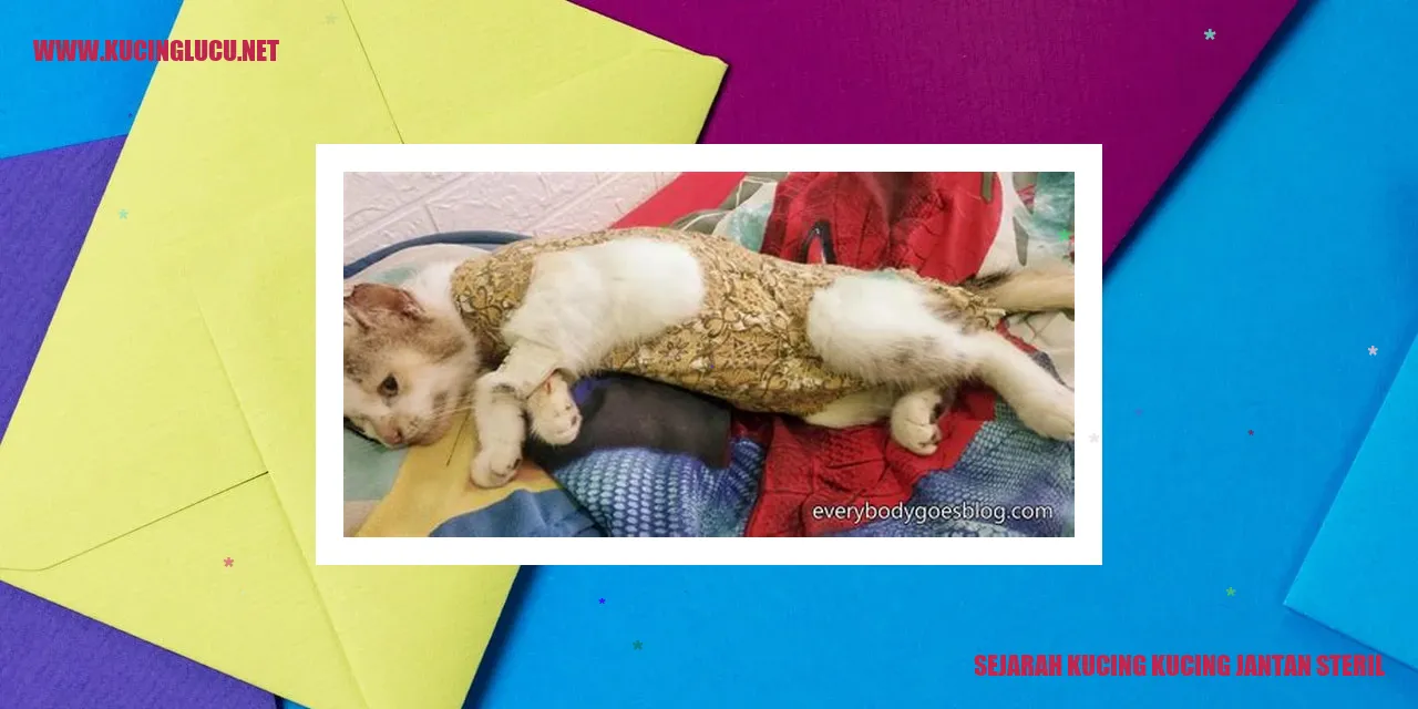 Sejarah Kucing Kucing Jantan Tidak Bisa Reproduksi
