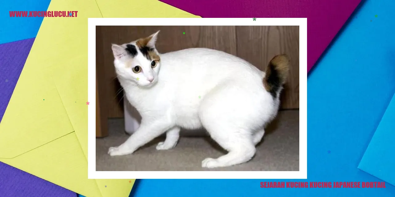 Gambar Kucing Japanese Bobtail