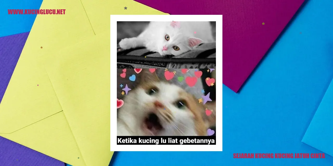 Gambar Kucing Penuh Cinta