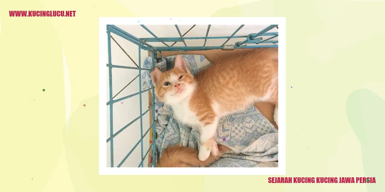 Kucing Jawa Persia