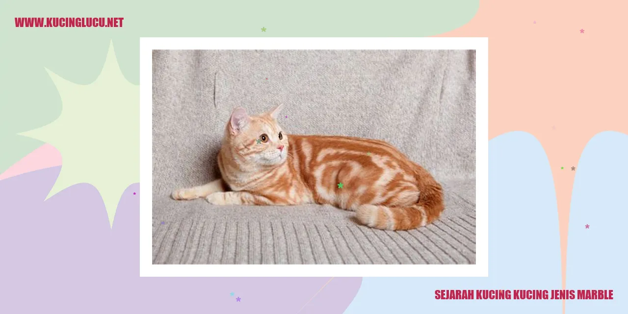 Gambar Kucing Jenis Marble