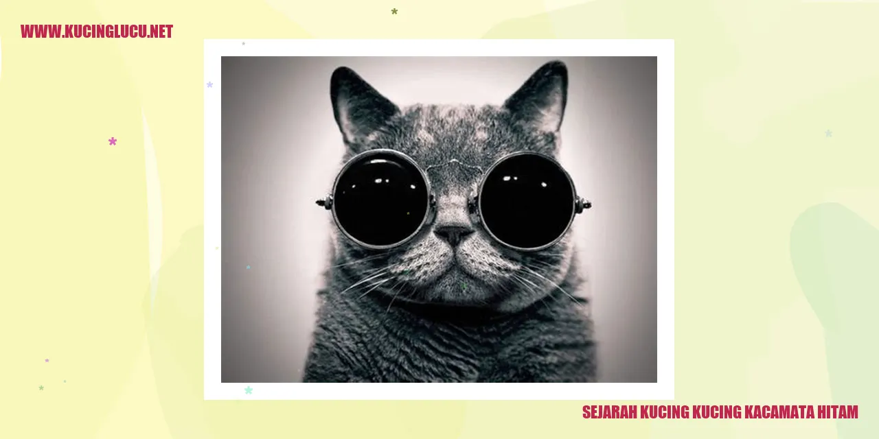 Sejarah Kucing kucing kacamata hitam