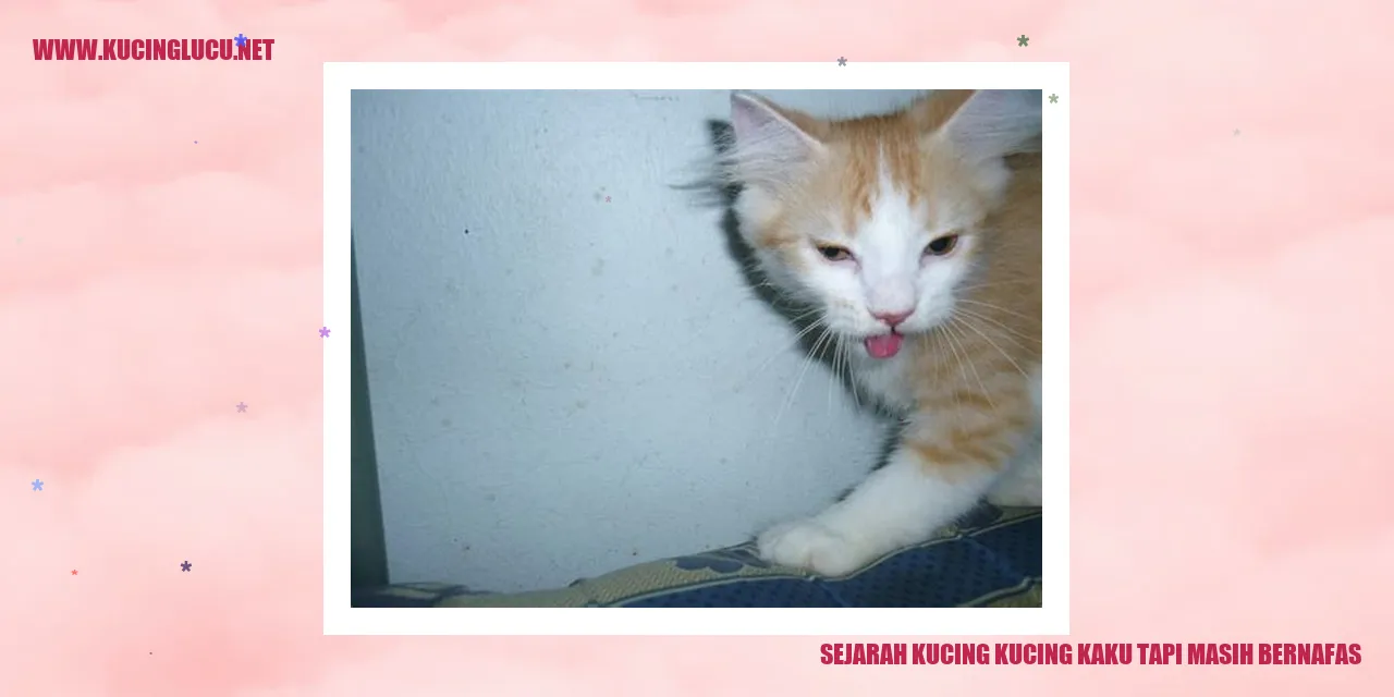 Kucing Kaku