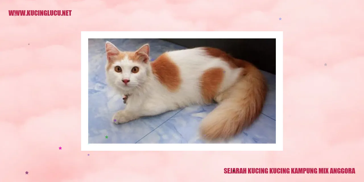 Ilustrasi Kucing Kampung Mix Anggora