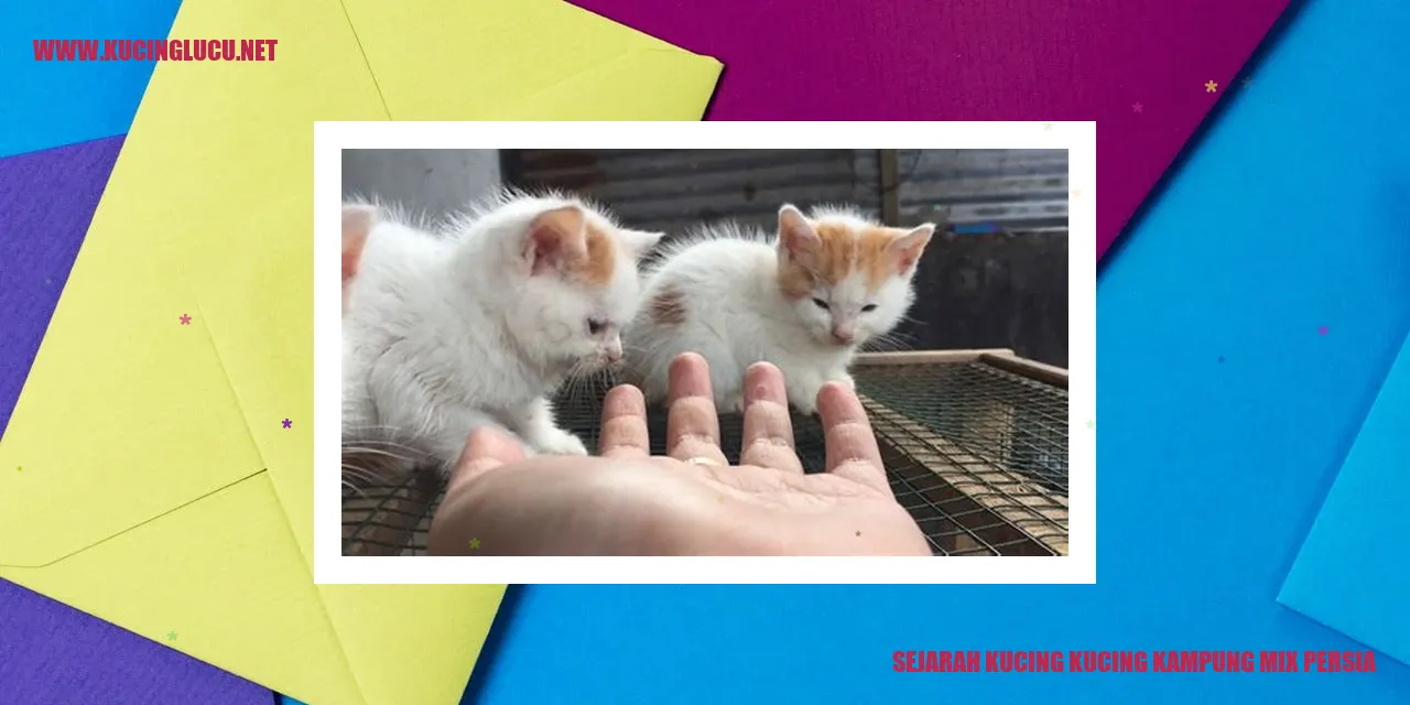 Kucing Gabungan Kampung dan Persia