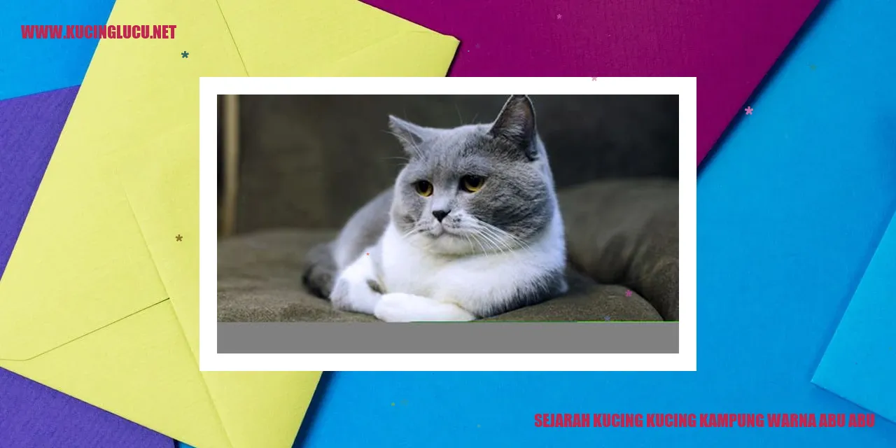 Kucing Kampung Warna Abu-abu