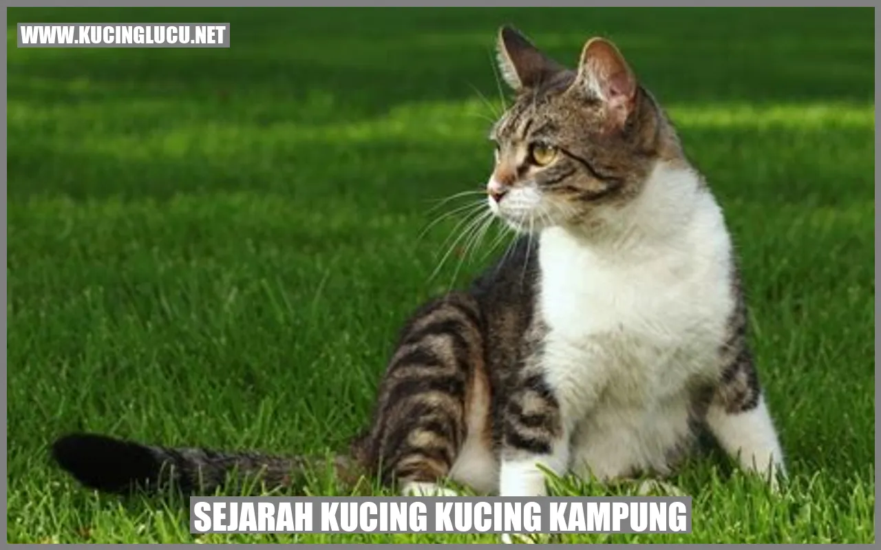 Kucing Kampung