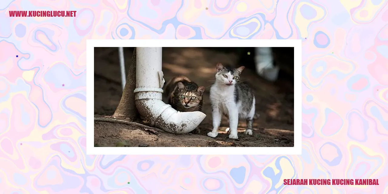 Kekejaman Kucing