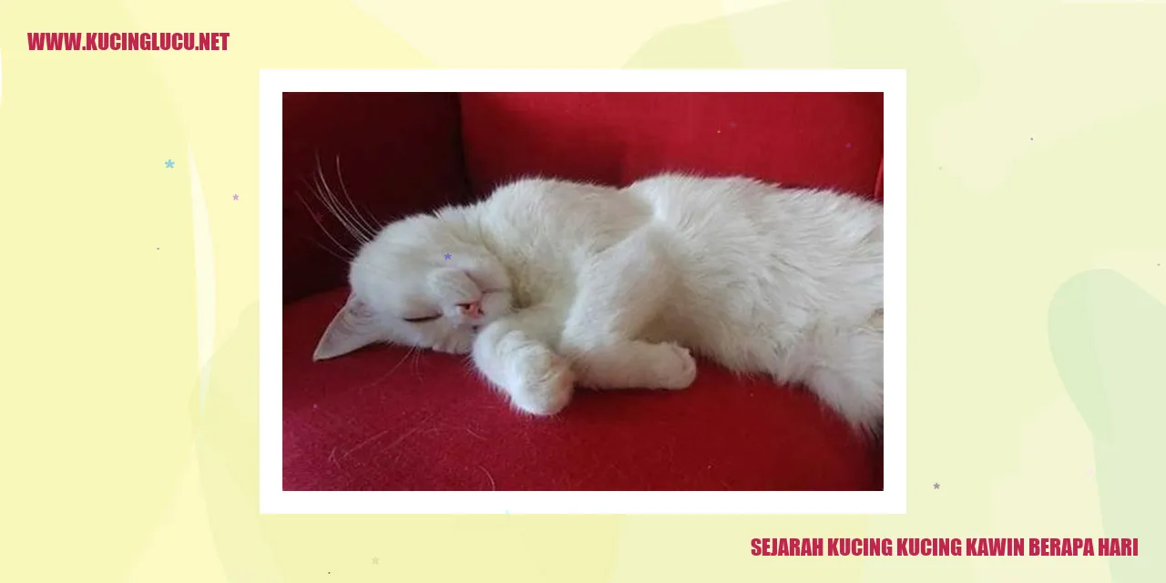 Sejarah Kucing Kucing Kawin Berapa Hari