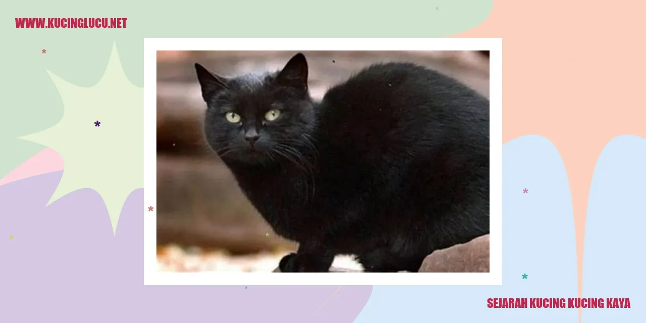 Sejarah Kucing Kucing Kaya