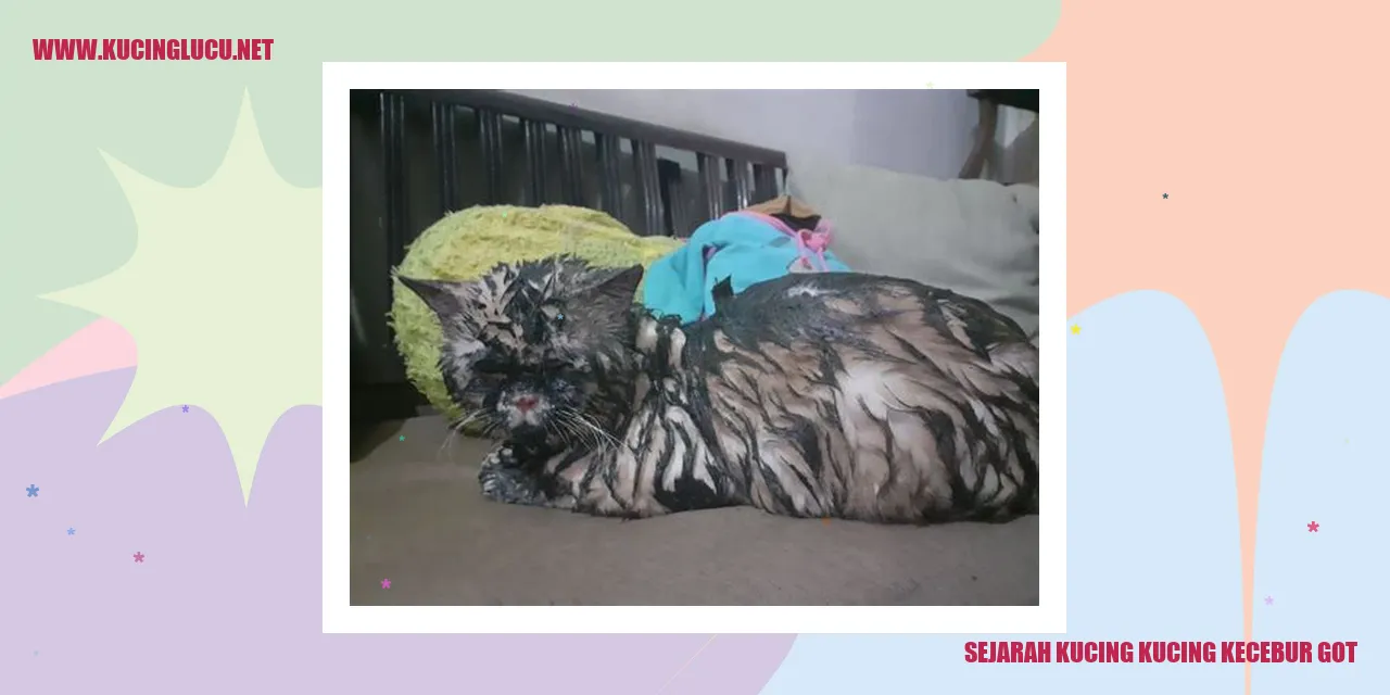 Kucing kecebur got