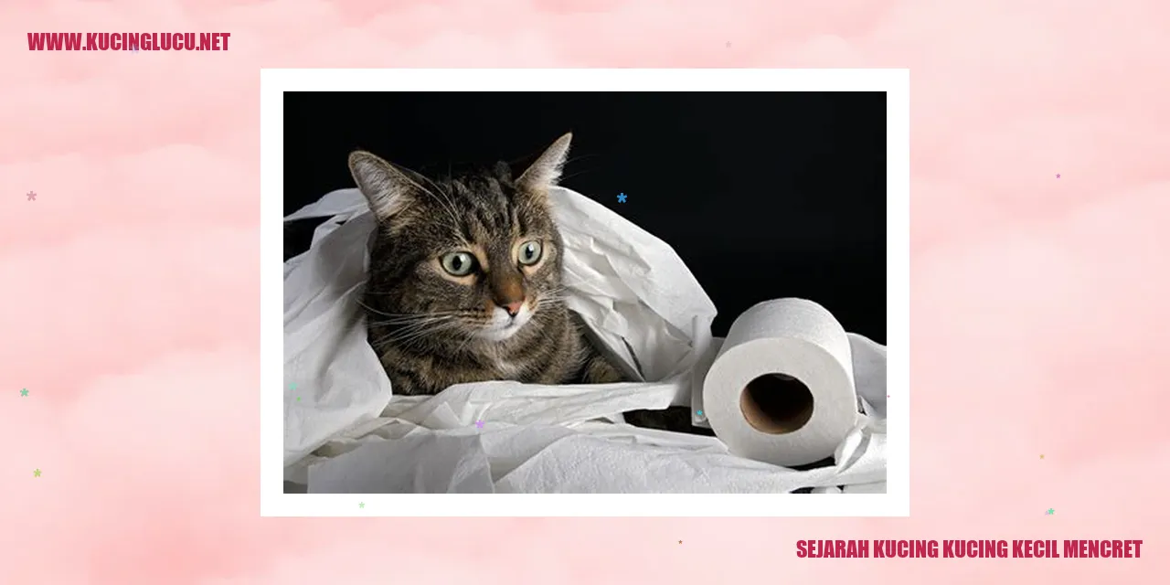 Sejarah Kucing Kucing Kecil Mencret