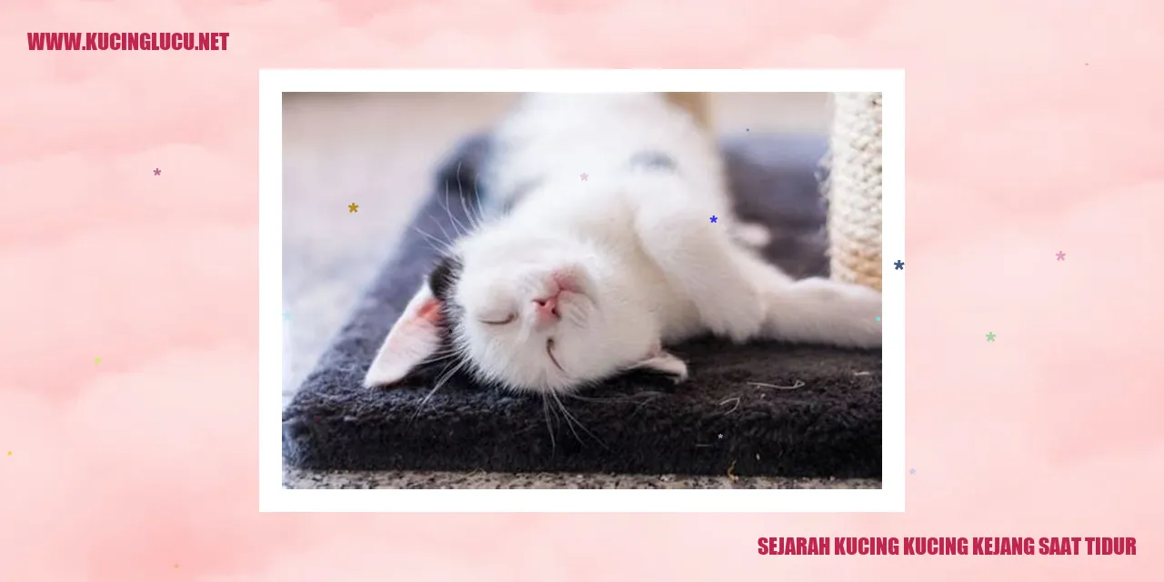 Kucing Mengalami Kejang Saat Tertidur