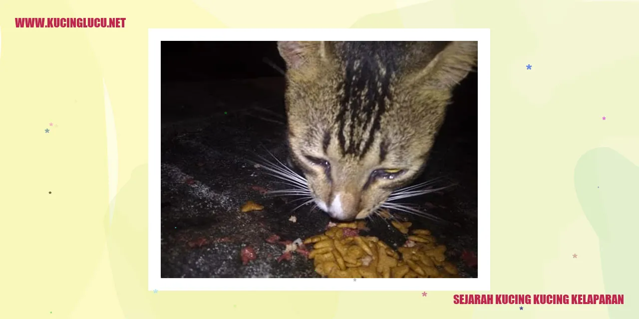Kucing Kelaparan