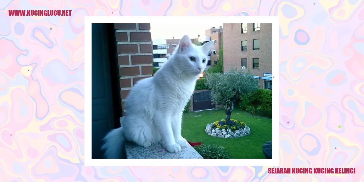 Kucing dan Kelinci