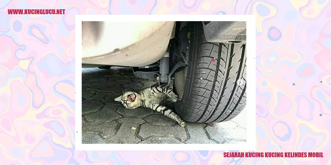 Kucing Menjadi Korban Tabrak Lari