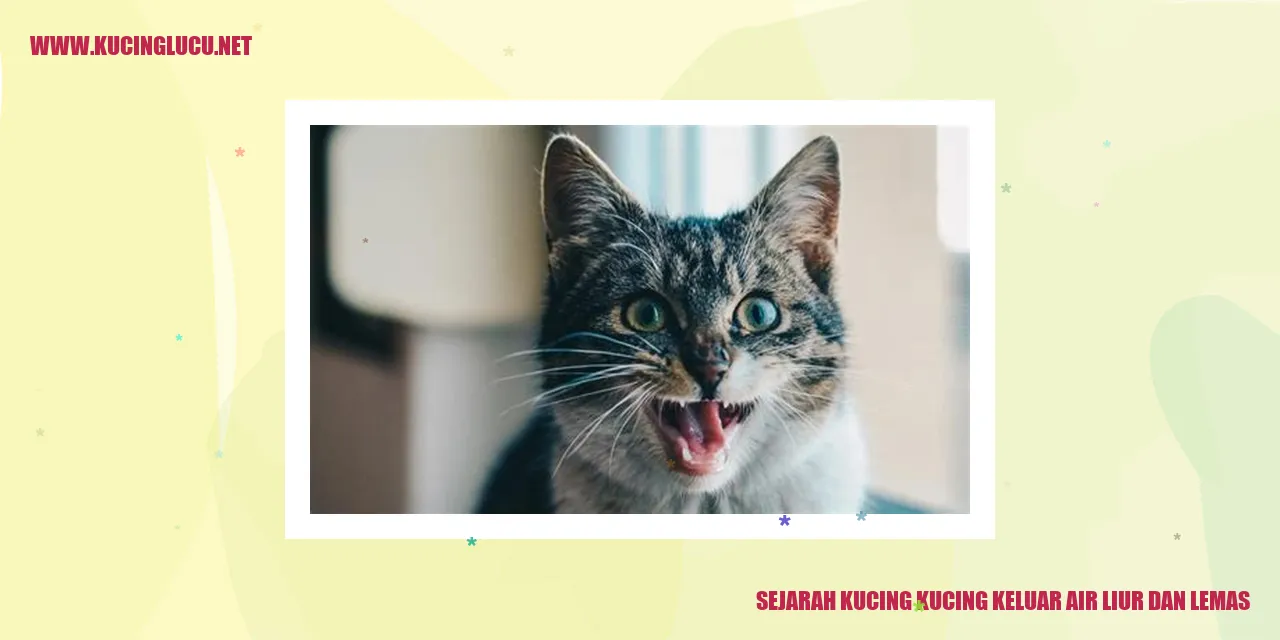 Ilustrasi Kucing
