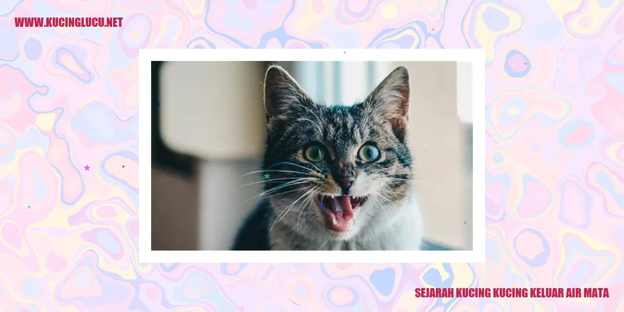Sejarah Kucing yang Mengeluarkan Air Mata