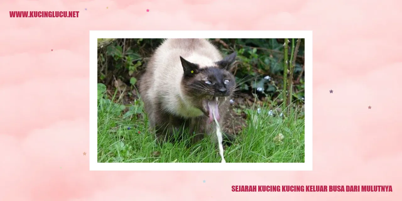 Sejarah Kucing kucing keluar busa dari mulutnya