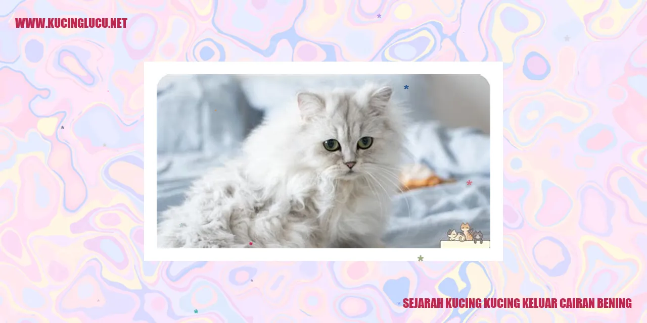 Gambar Kucing