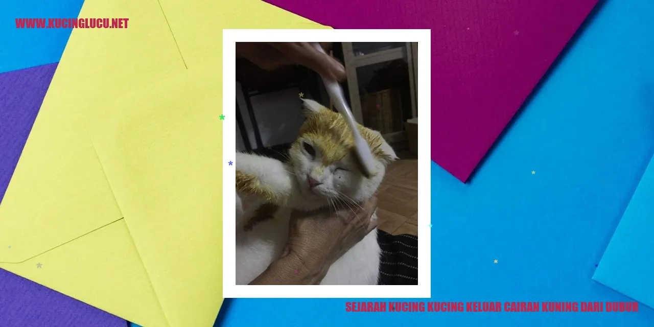 Gambar kucing dengan ceceran kuning dari dubur