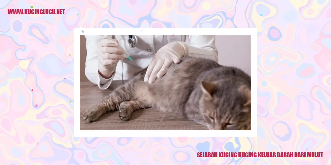 Gambar kucing keluar darah dari mulut