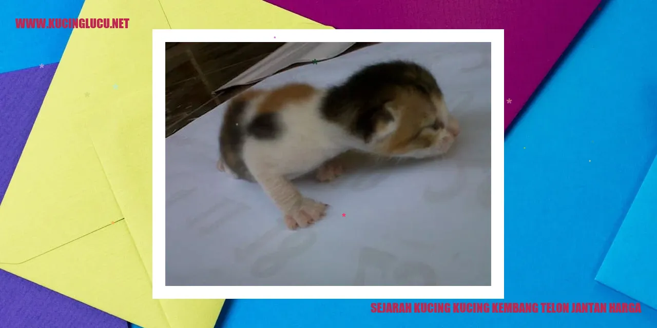 Sejarah Kucing Kucing Kembang Telon Jantan Harga
