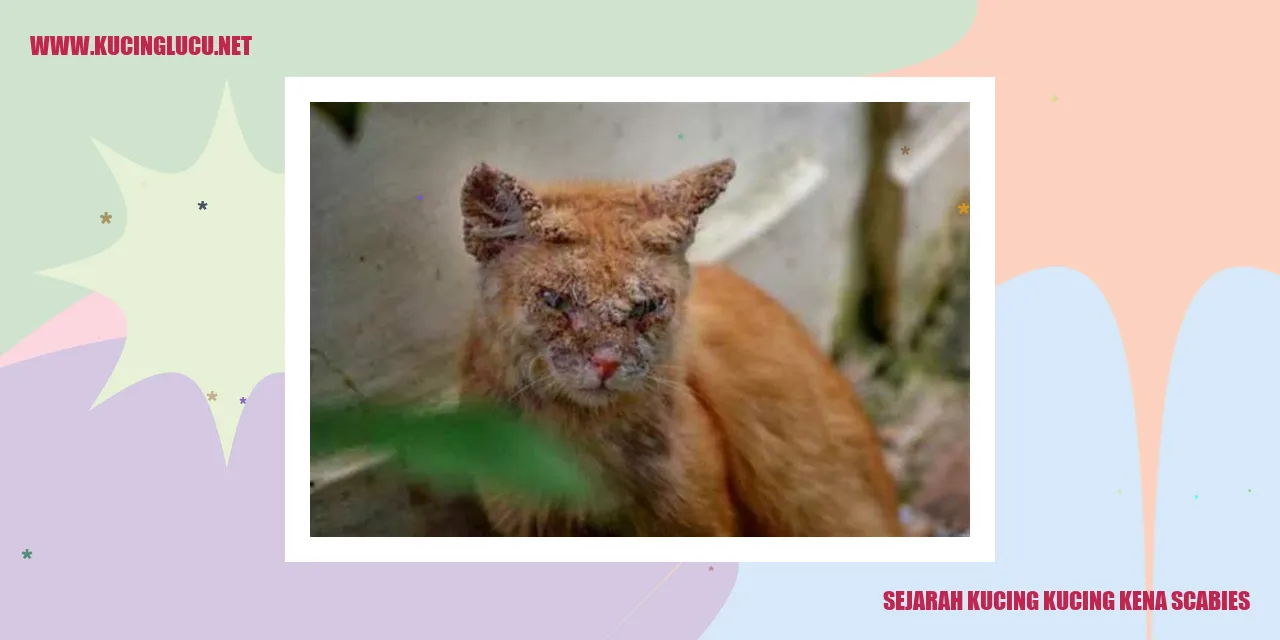 Kucing Mengalami Scabies