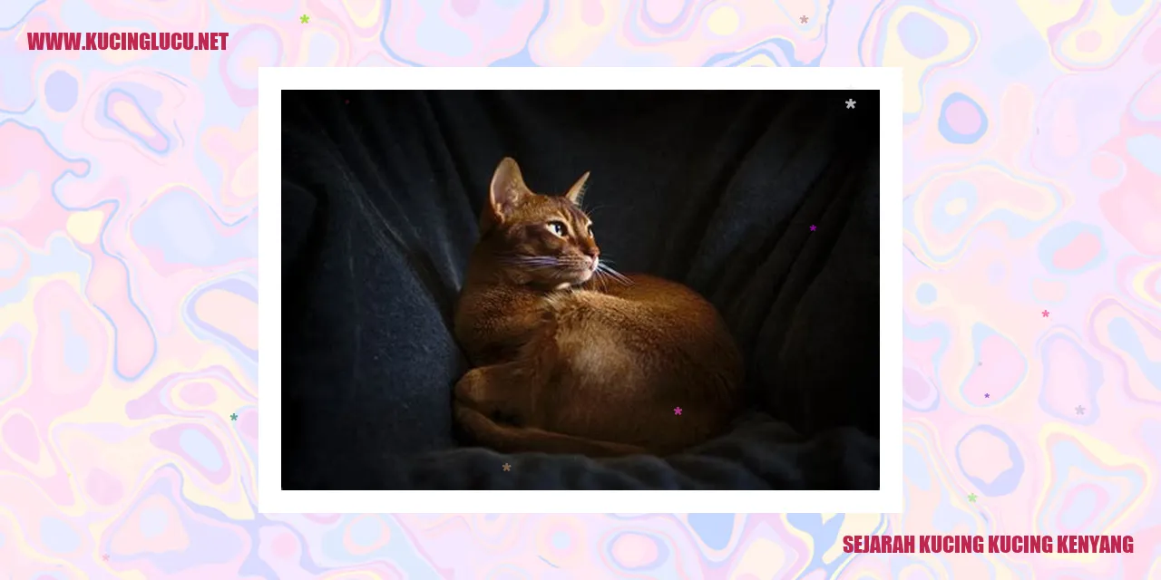 Kucing-kucing Kenyang