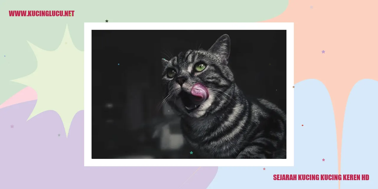 Gambar Kucing Hebat Beresolusi Tinggi