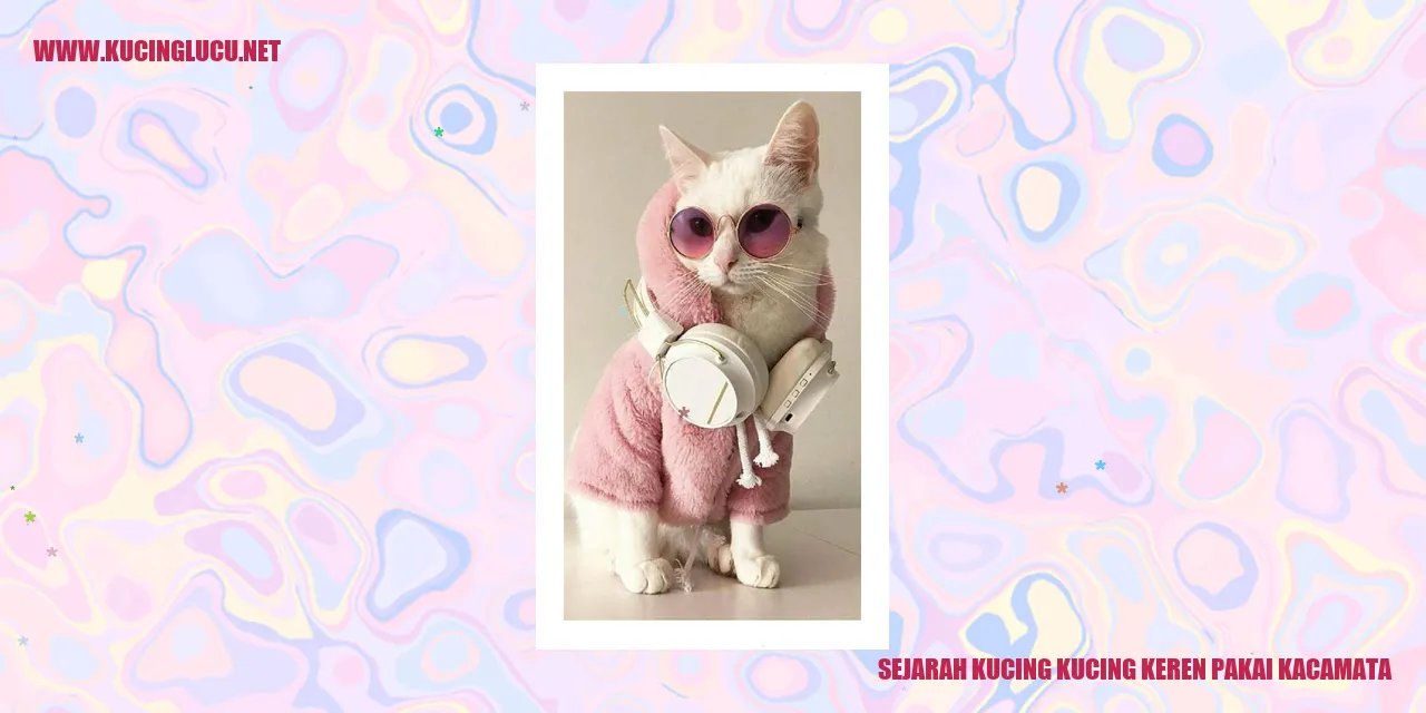 Kucing mengenakan Kacamata