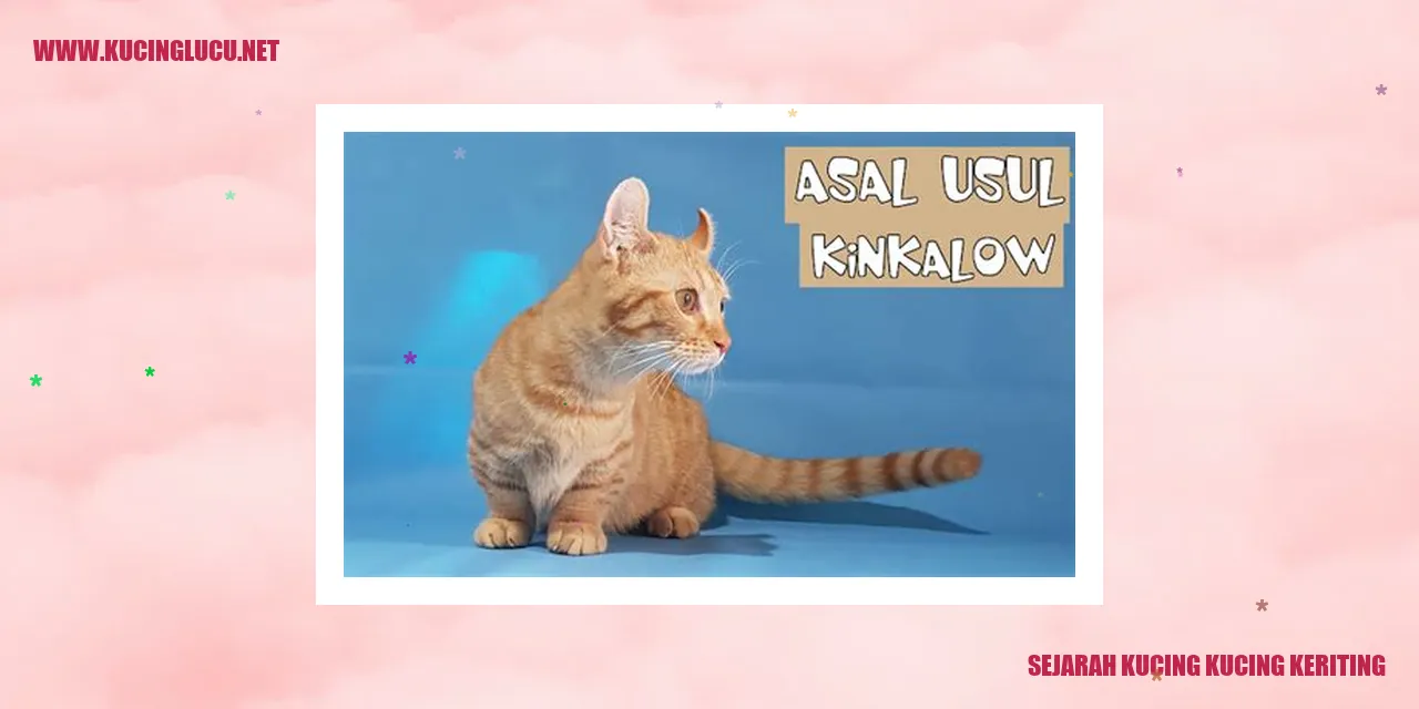 Gambar Kucing Keriting
