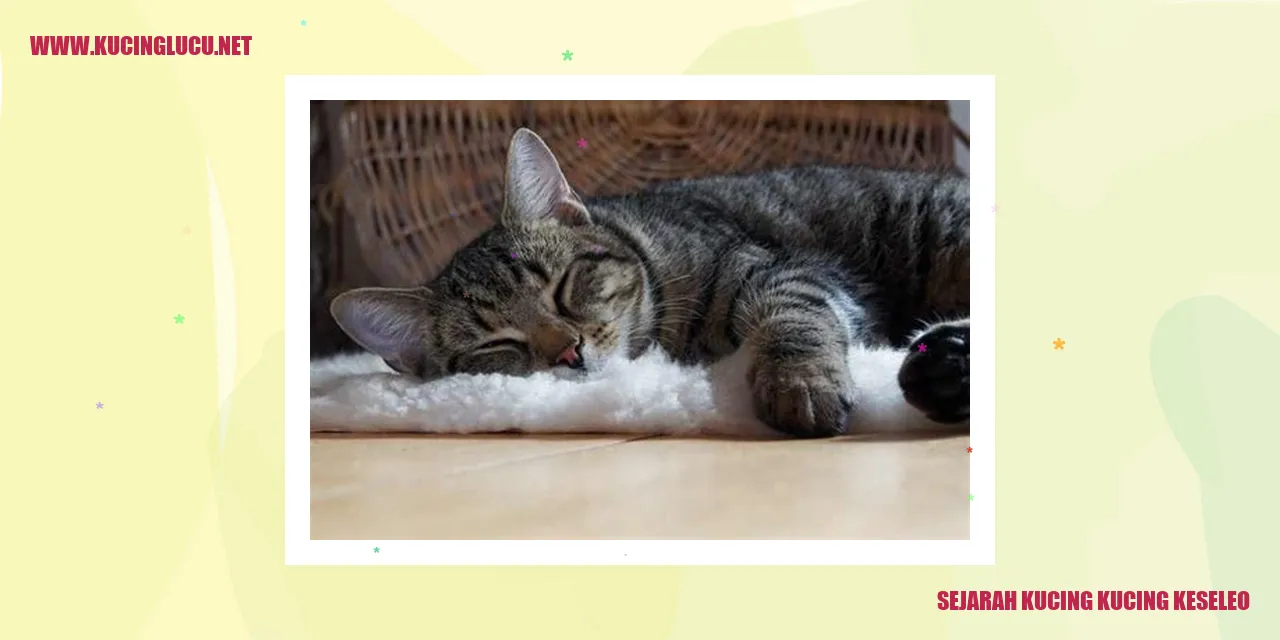 Sejarah Kucing Kucing Keseleo