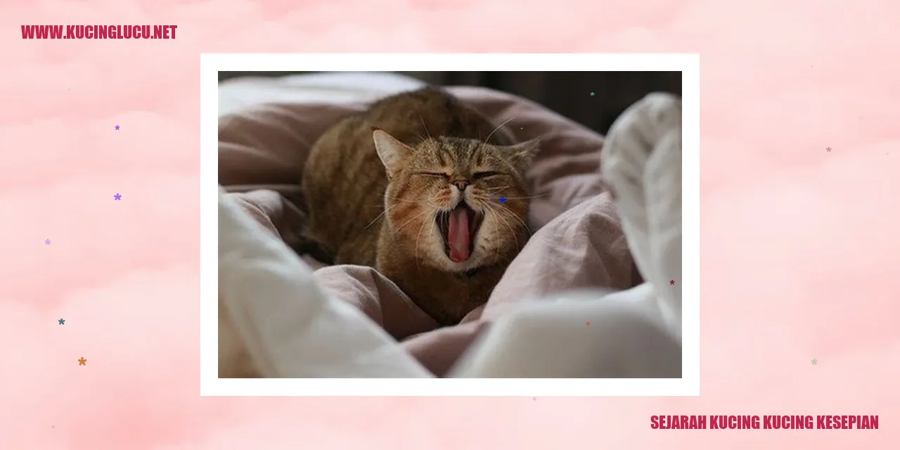 Sejarah Kucing Kucing Kesepian