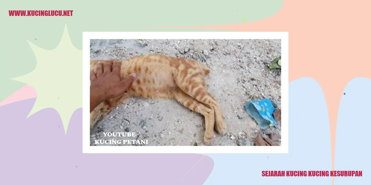 Sejarah Kucing kucing kesurupan