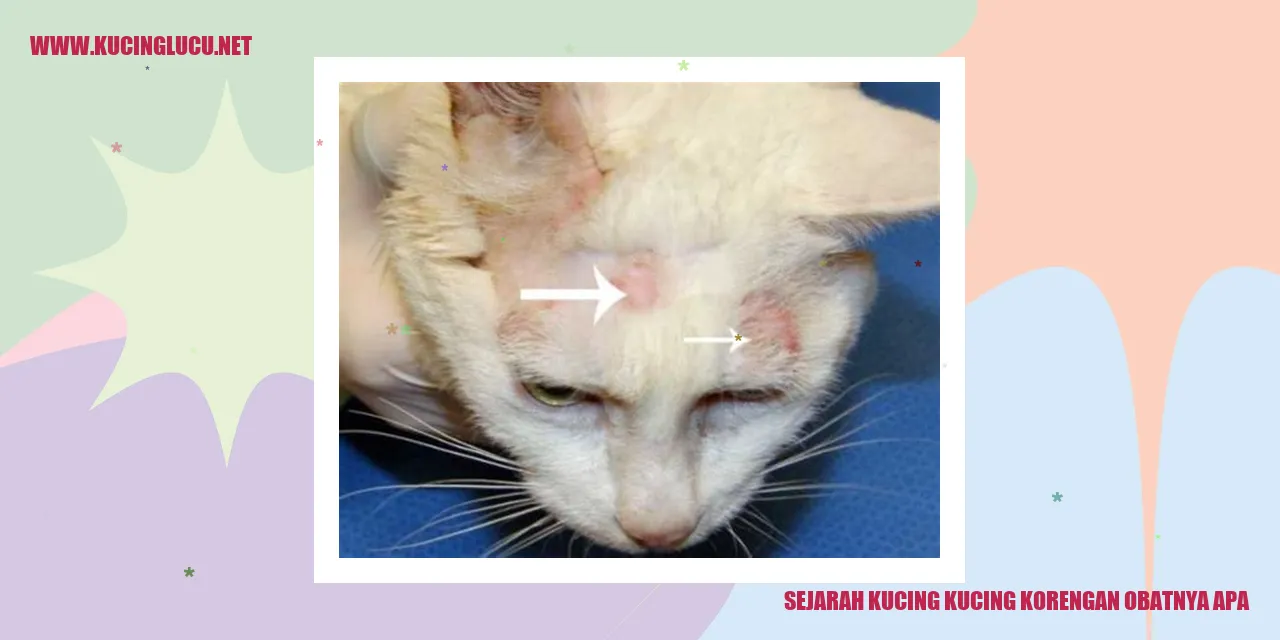 Kucing korengan