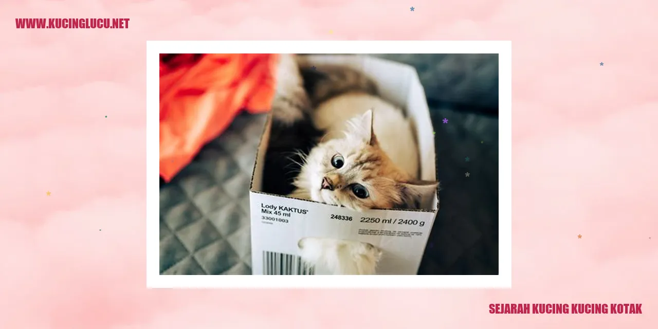 Sejarah Kucing Kucing Kotak