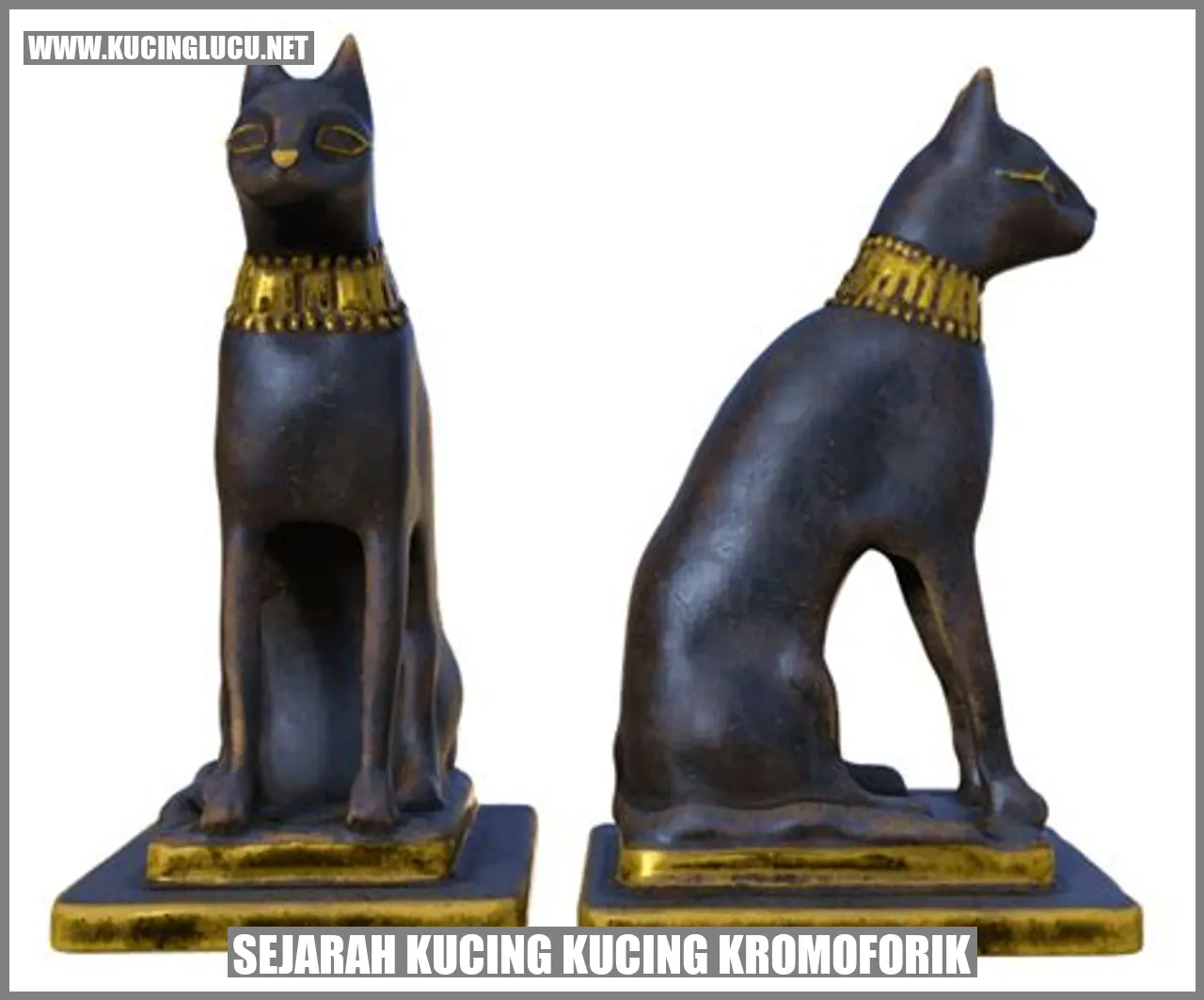 Gambar Kucing Kucing Kromoforik
