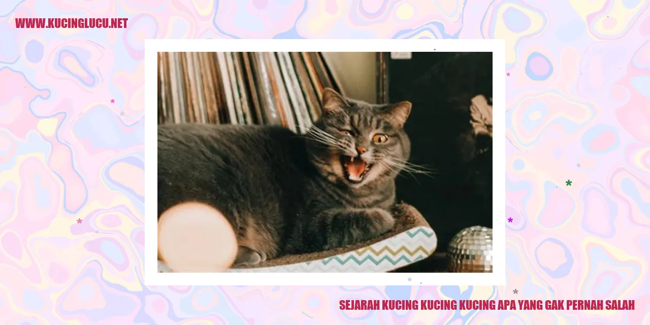 Sejarah Kucing