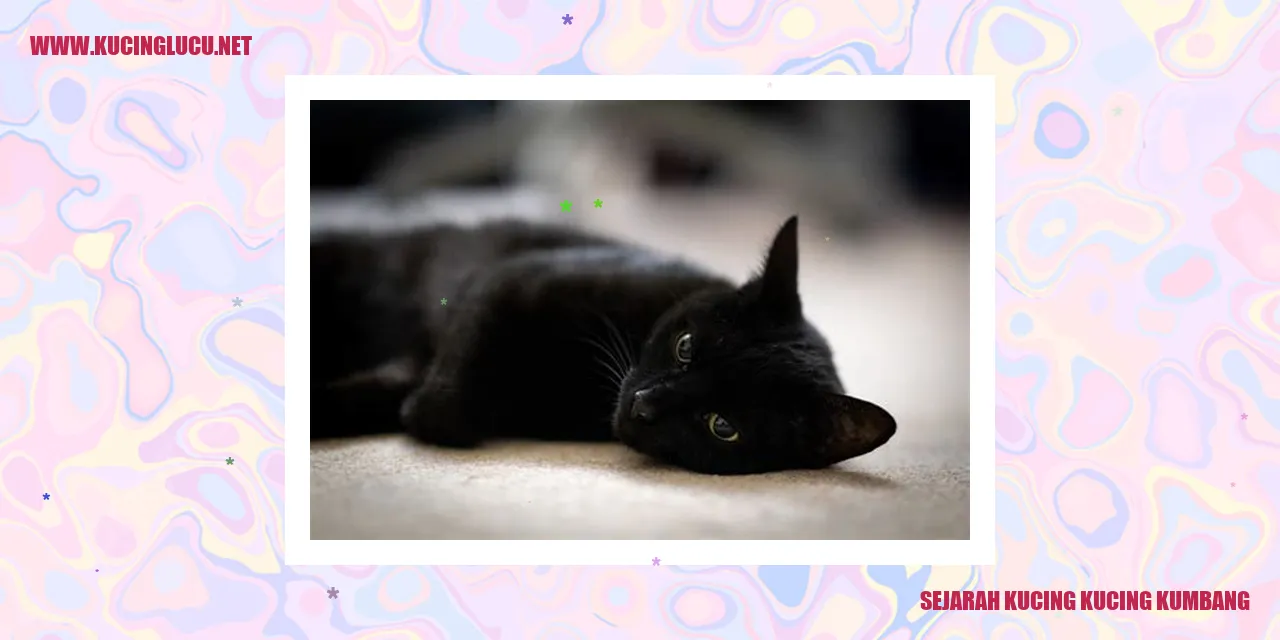 Gambar kucing kucing kumbang