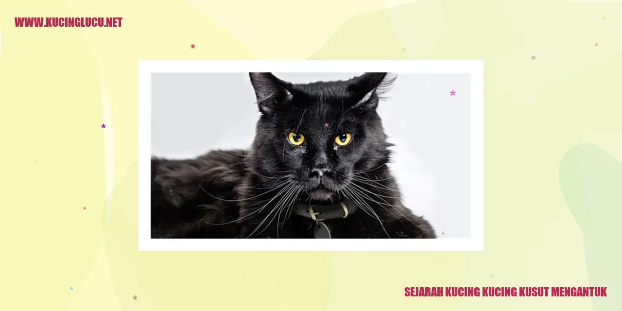 Sejarah Kucing Kusut Mengantuk