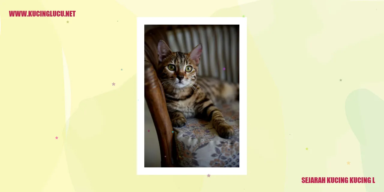 Gambar Kucing