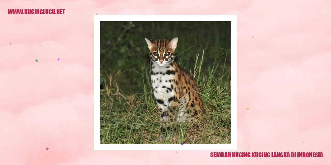 Kucing langka di Indonesia