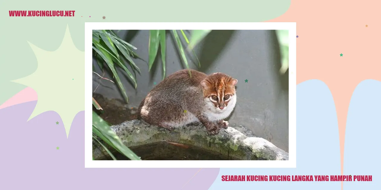 Kucing-kucing langka