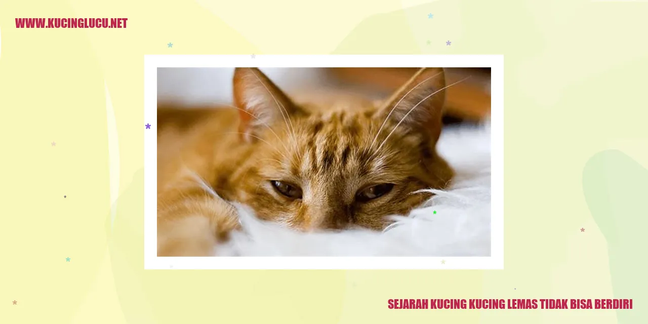 kucing lemas