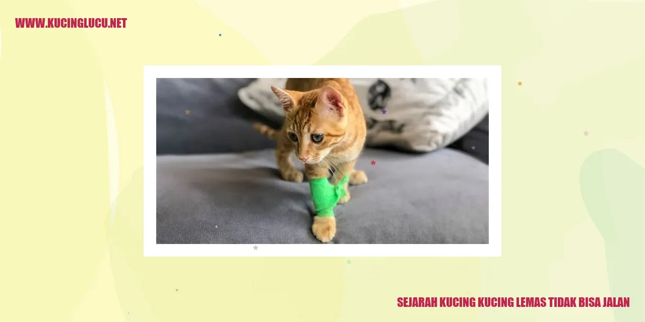 Gambar Sejarah Kucing kucing lemas tidak bisa jalan