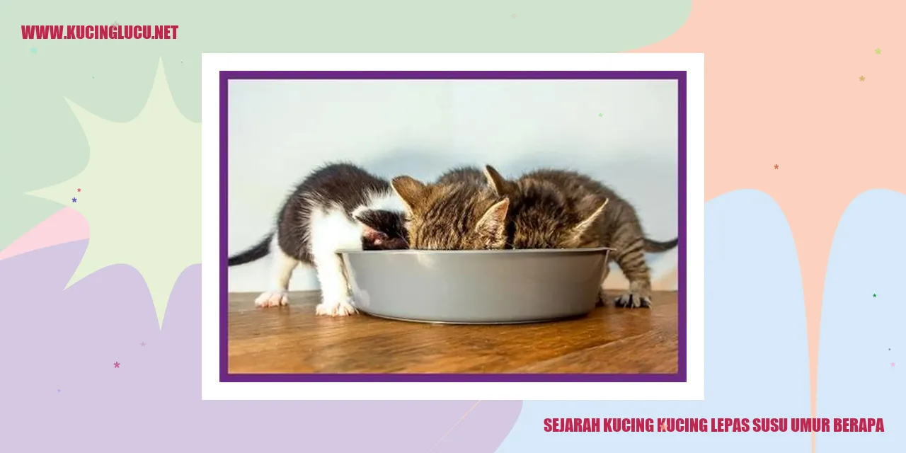 Sejarah Kucing